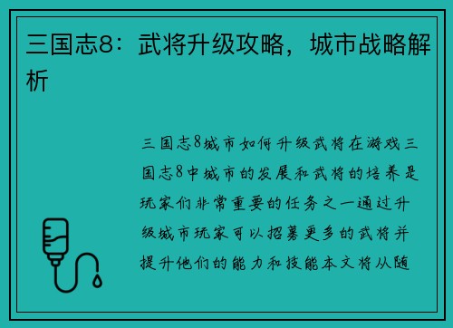 三国志8：武将升级攻略，城市战略解析